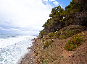 Scorcio sulla linea di costa alle spalle di Torre dell&rsquo;Ogliastro.