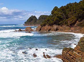 In una successione di graziose calette si sviluppa la bellissima costa di Punta Licosa (lato Ogliastro Marina).