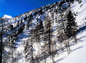 Scorcio sul canalone sotto Punta Mulatera, attraversato dal sentiero per Col di Thures.