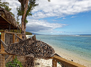 &ldquo;Pesce da spiaggia&ldquo; (spiaggia dell&rsquo;Ermitage les Bains).