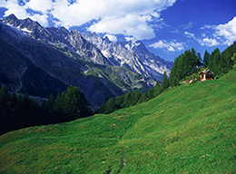Rifugio/Bivacco Borelli-Pivano