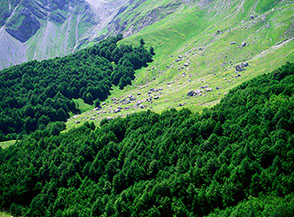 Il Rifugio Dal Monte si confonde tra i massi che cospargono la valle.