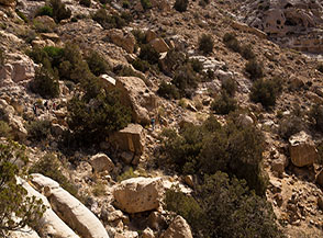 Lungo il Dana Village Trail.