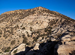 Il Monte Rummana (melograno) nella Riserva Naturale della Biosfera di Dana.