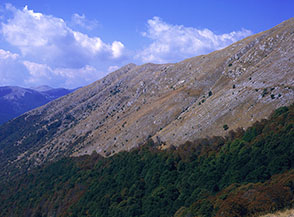 La cresta verso Monte Marcolano dal lato della Valle Cervara.