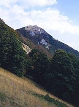 Il profilo migliore di Monte Marcolano, dai pendii erbosi di Balzo Maiuri.