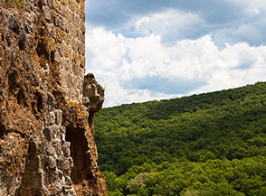 Vista sui boschi del Fosso del Traponzo dai ruderi della Rocca Vecchia di Respampani.