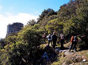 Il sentiero fra i lecci per la punta estrema della Rocchetta di Cesi.