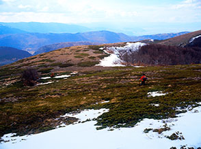 In discesa lungo il crinale prativo della Dragonara, sotto il Rosa Pinnola.