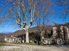 I platani di Roscigno Vecchia.