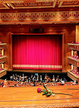 &ldquo;Una rosa all&rsquo;opera&ldquo; (vista palco della Royal Opera House).