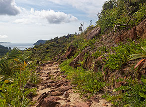 La pista che cala verso Anse Possession (Salazie Trail).