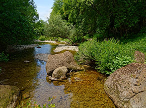 Corso del Torrente Vesca a valle della Sorgente Acquafredda.