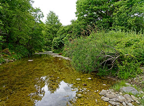 Ancora il Torrente Vesca nei pressi della localit&agrave; Vignolo.