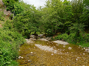 Il Torrente Vesca scorre placido e sornione (localit&agrave; Vignolo).