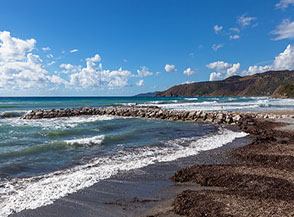 Battigia alla Marina di Pisciotta.