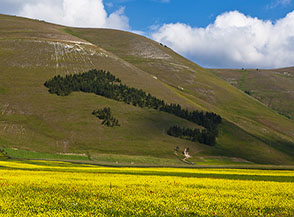 &ldquo;L&rsquo;Italia in posa&ldquo; vista dal Piano Grande di Castelluccio di Norcia.