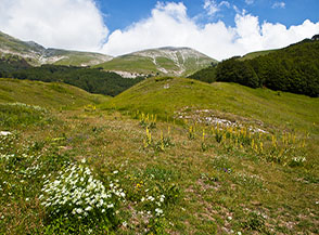 Scorcio bucolico nei pressi di Fonte San Lorenzo.