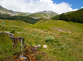 Fonte San Lorenzo ai margini di Piano San Lorenzo.