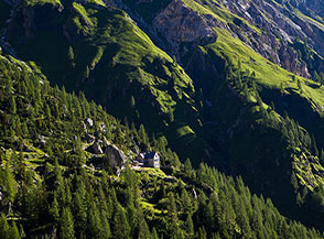 Il Rifugio Falier nel bosco di larici sopra il Pian d&rsquo;Ombretta.