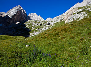 Sui prati alpini di Valle Ombrettola con il Formenton sullo sfondo.