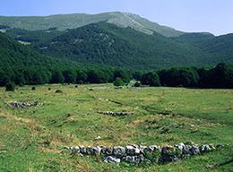 Serra Comune e Cima d'Erba