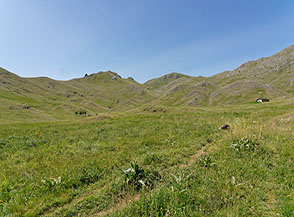 La verdissima e dolcissima conca alpina de il Campo.