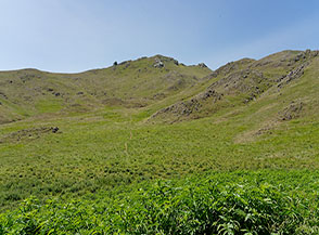 Scorcio della vasta e verdeggiante conca alpina del Campo, sullo sfondo il Coppo del Campitello.