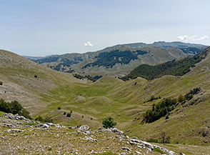 Dalla cima di Coppo del Campitello vista sulla verde conca di Camporotondo.