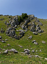 Scorcio sul fianco orientale di Serra del Campitello.