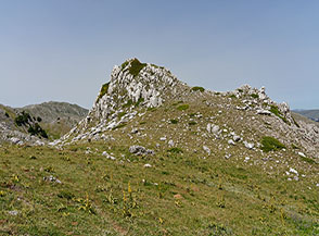 La punta del Coppo di Camporotondo Centrale.