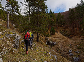 Lungo il fosso di Valle Mancina.