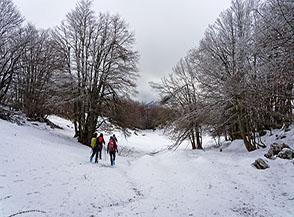 Tra bosco e radure verso Serra Traversa.