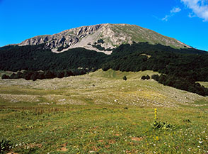 Il Piano Toscano dominato dalla mole del Pollino.