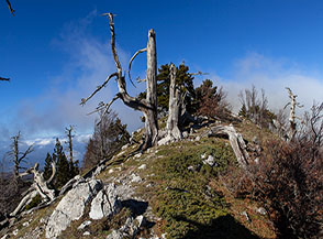Sul filo della Cresta Sud della Serretta della Porticella nei pressi della cima.