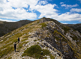 Serra dellla Terratta e S.di Monte Canzoni