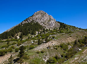 Dal Fosso dei Curti vista sul versante meridionale di Monte Faito.
