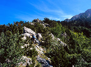 Arrampicando sui massi del Crestone dei loricati (la Cresta Sud della Serra Dolcedorme).