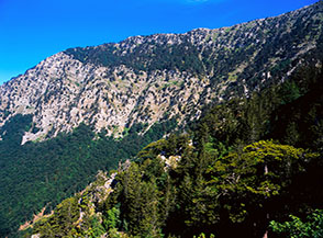 La bellissima Cresta delle Murge di Celsa Bianca vista dal Crestone dei loricati.