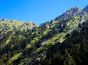 La selletta prativa a 1800m. lungo il Crestone dei loricati (Cresta Sud di Serra Dolcedorme).