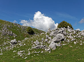 Scorcio lungo il sentiero ai piedi di Colle Bellavista.