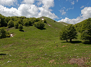 In cammino verso Colle di Mastro Cosimo.