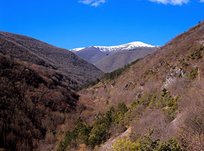 Vista sulla Valle Rea dalla Strada Napoleonica.