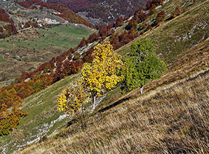 Scorcio d&rsquo;autunno lungo il sentiero per il Valico dello Scalone.