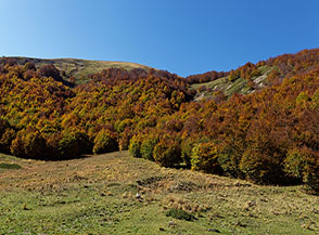 Sul fondovalle di Valle Cupa sotto Serra Pantanella.