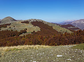 La grande gobba del Monte Curio Settentrionale vista da sud.