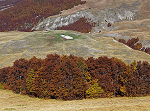 Vista sullo Stazzo del Casone.