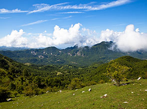 Vista verso valle (San Biagio Saracinisco) da Serra Piana.