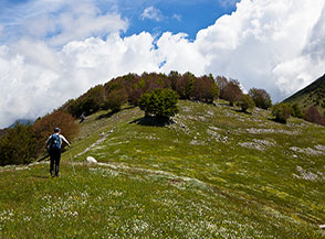 Sulla Serra Porcarella verso il suo culmine: Monte Stazzitello.