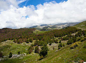 Vista sui prati che si aprono alla testata della Valle Stracciaro.